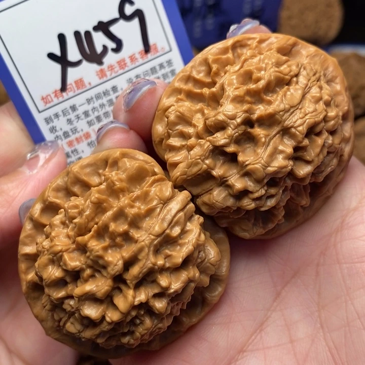 文玩核桃把件47官帽x459