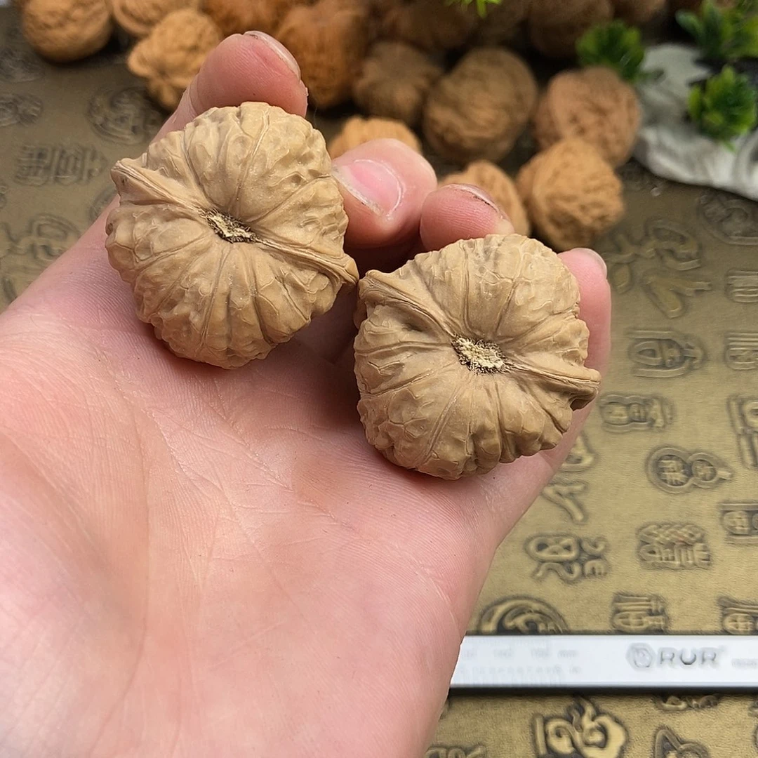 核桃南瓜墩39尺寸编号375全品无修无黄无裂无虫眼肉瓷实