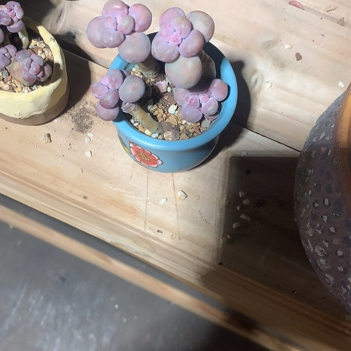 米休息护指故意嘻嘻嘻嘻