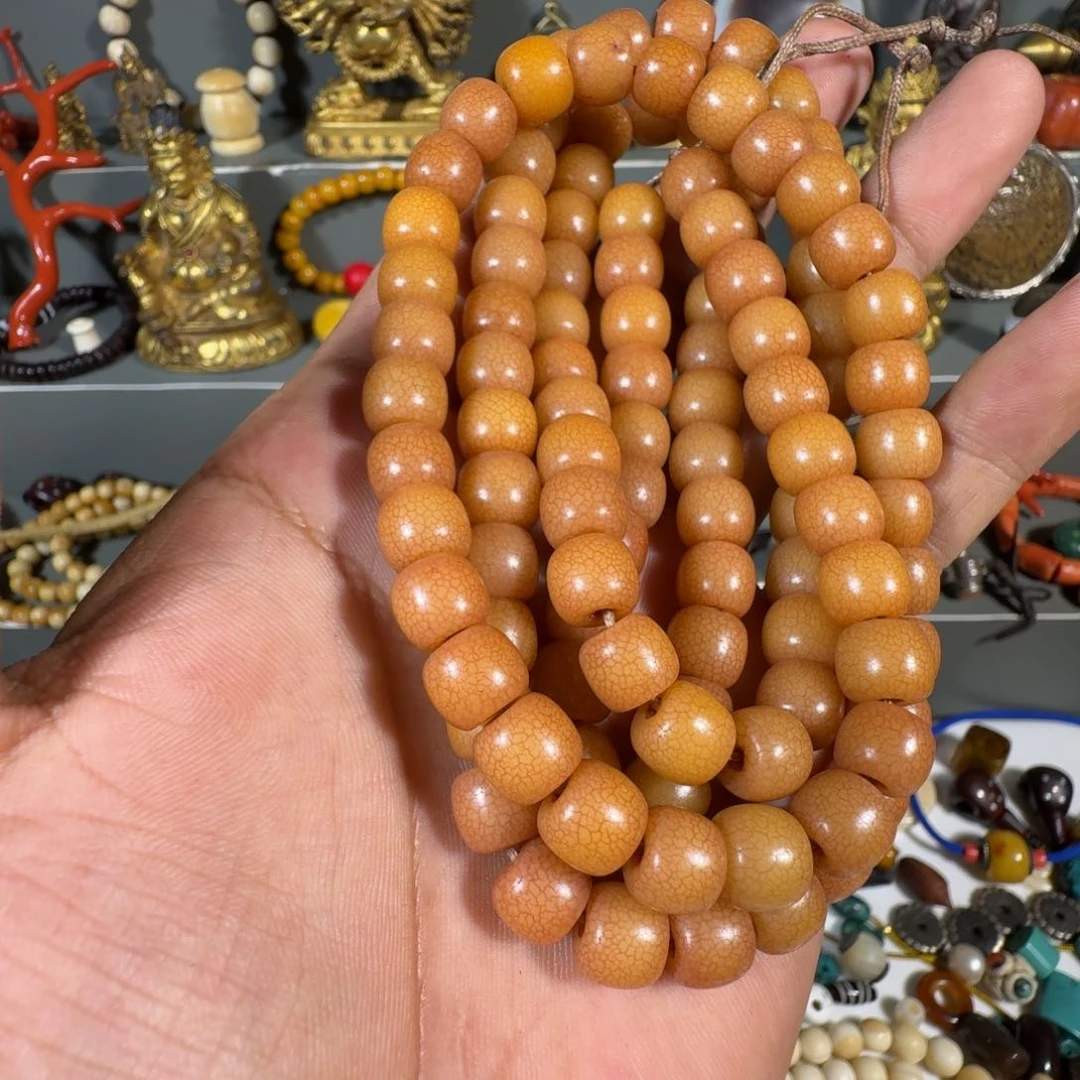 牛骨其他逗*菩提根漂亮的
