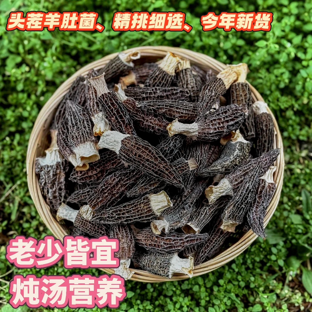 2【干羊肚菌3-5cm】头茬羊肚菌 肉质肥美 炖汤营养