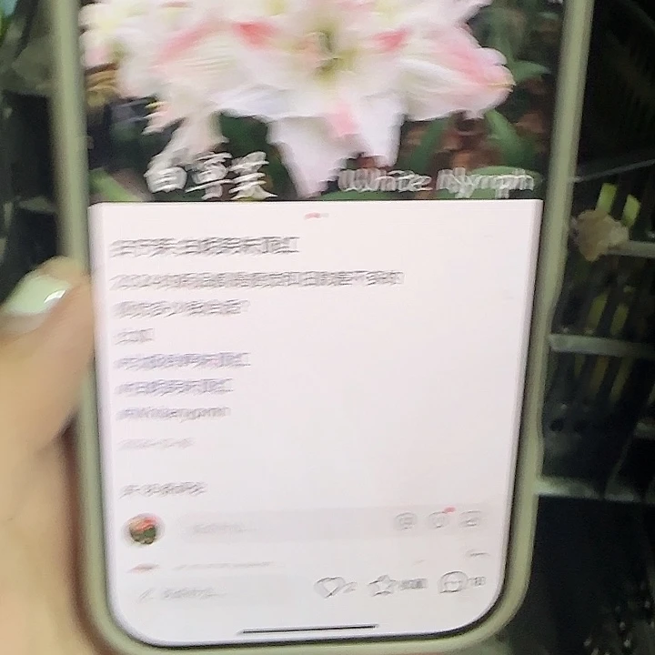 白 妮芙7.5公分丑球福利