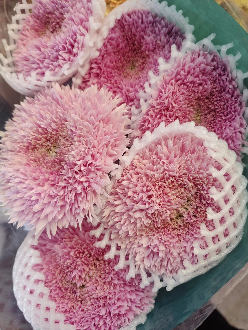 【宏图鲜花】粉面包