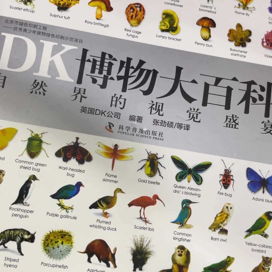 村***姑DK博物大百科一个