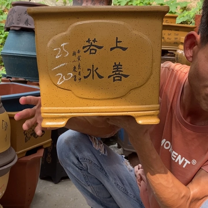 紫砂紫砂紫砂紫砂
