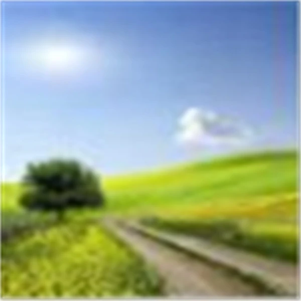 李 新中式国风 1263256 时尚百搭 湖丝龙贡缎 冬款棉服 外套 M 58