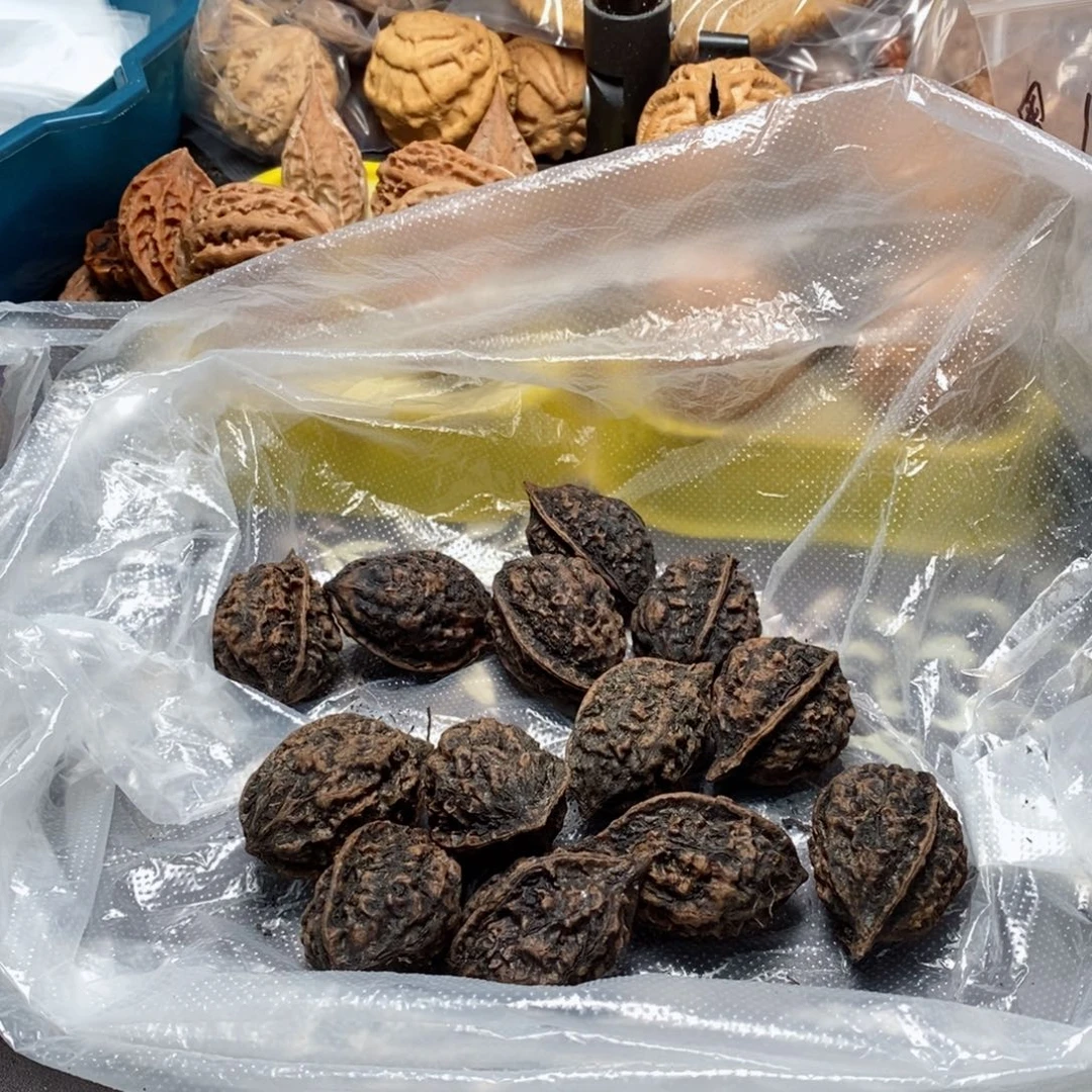 文玩核桃吊坠核桃106