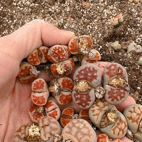 21202哈哈哈哈哈哈