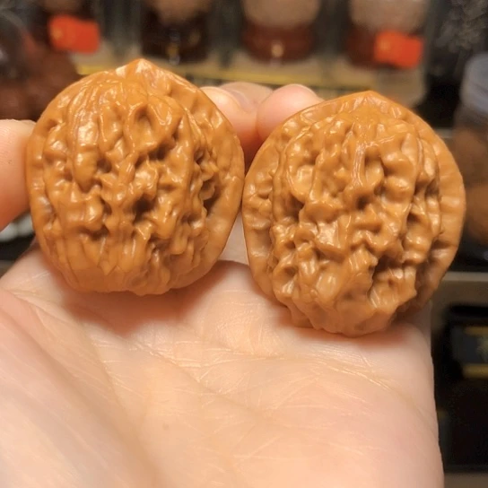 野生小众：精品核欢