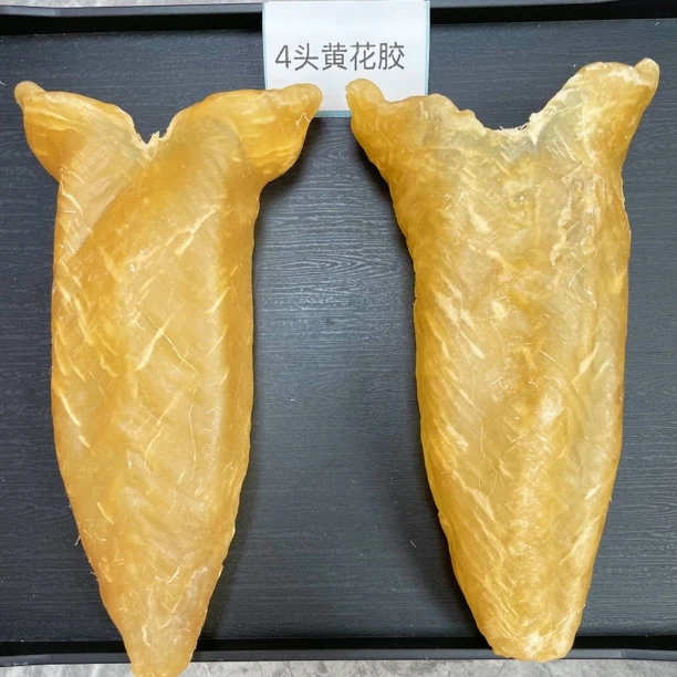 4头黄花胶淡水黄花筒清水不加重厚肉鱼胶花胶直播间现场称重