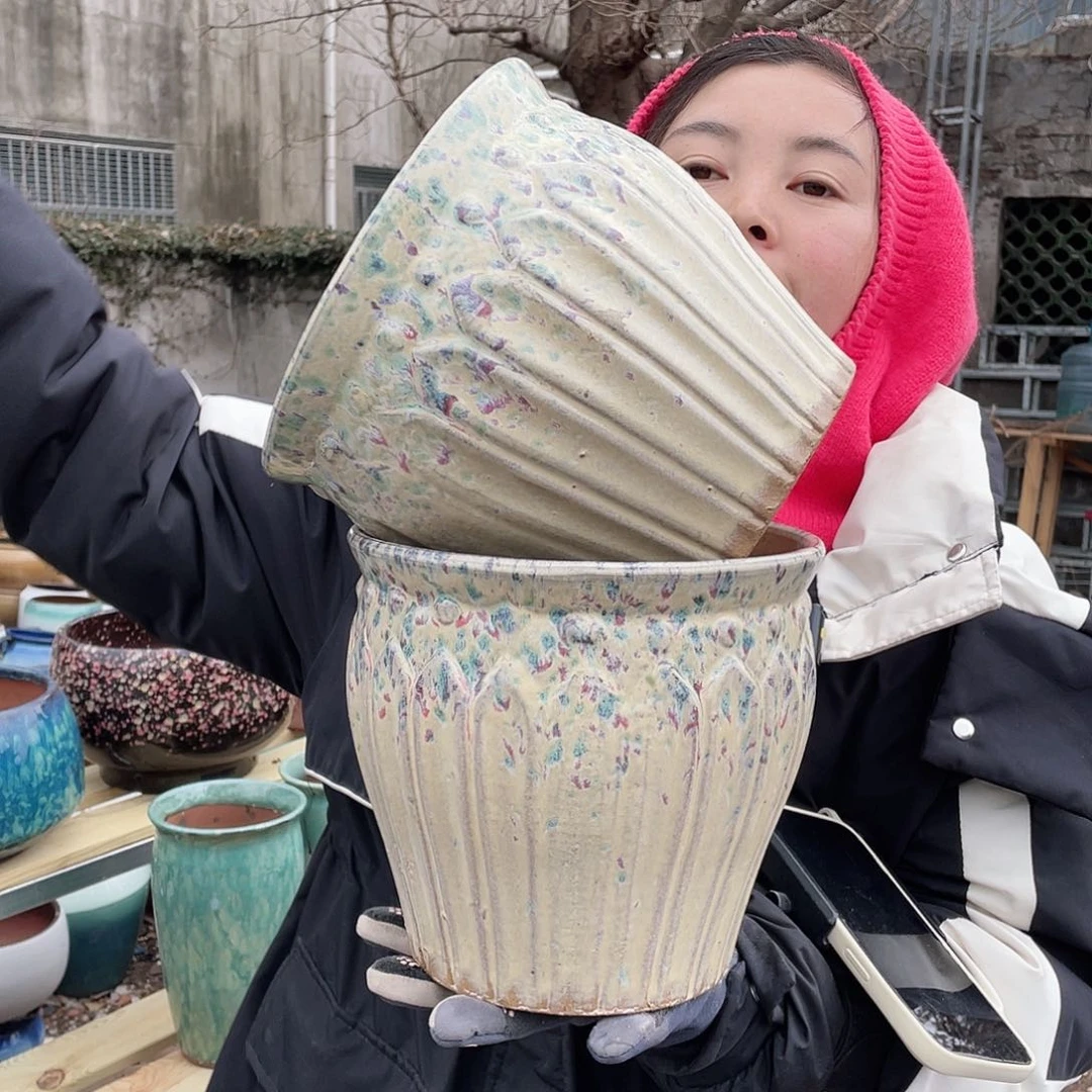 红陶王嫂花盆直播0221-徐黄布丁