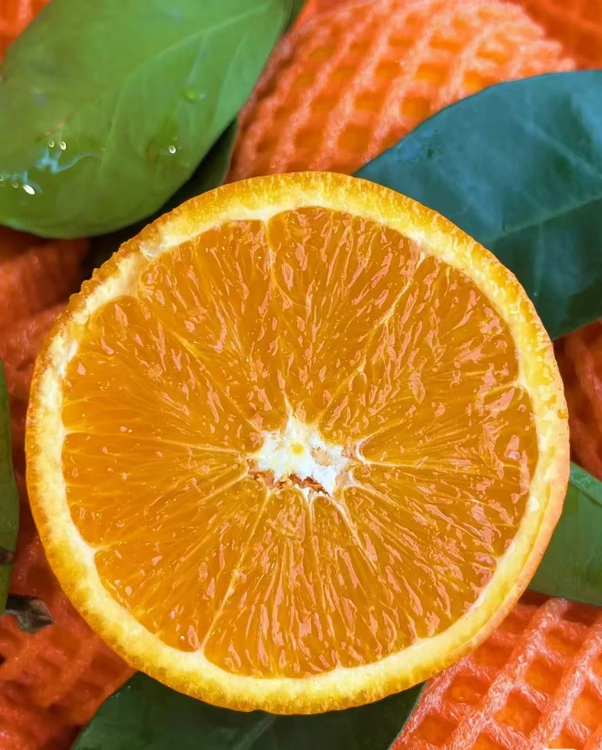 精品伦晚橙/筐6.5-7斤