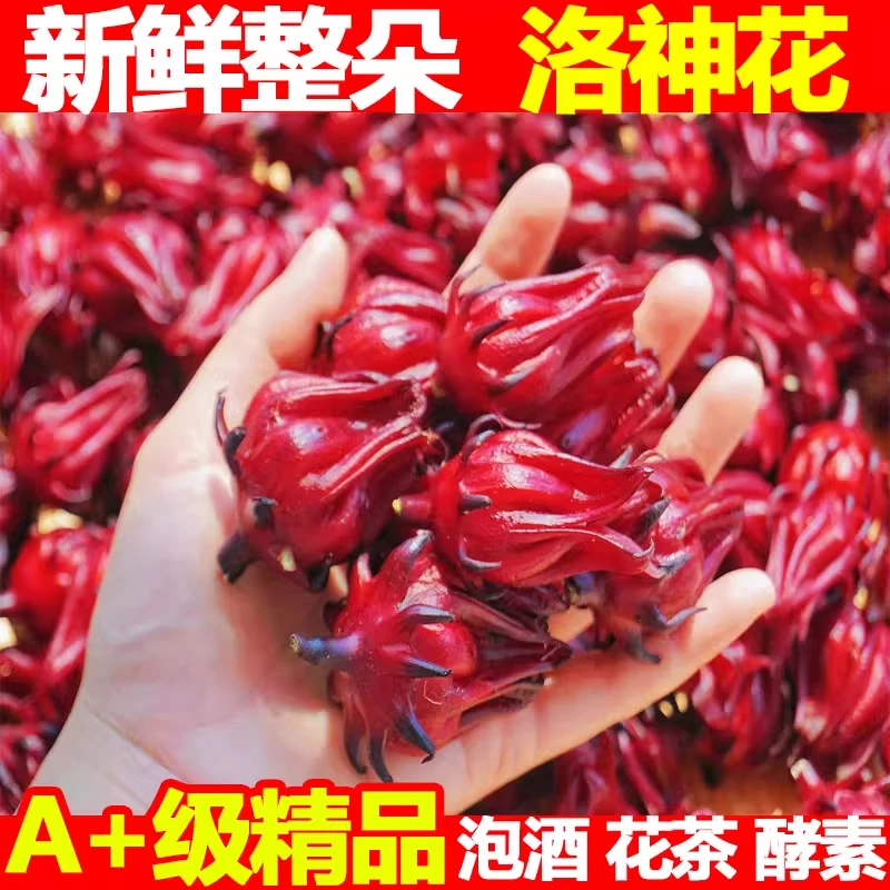 新鲜现摘洛神花产地直供可用于泡酒泡醋泡茶制作果干红桃K玫瑰茄