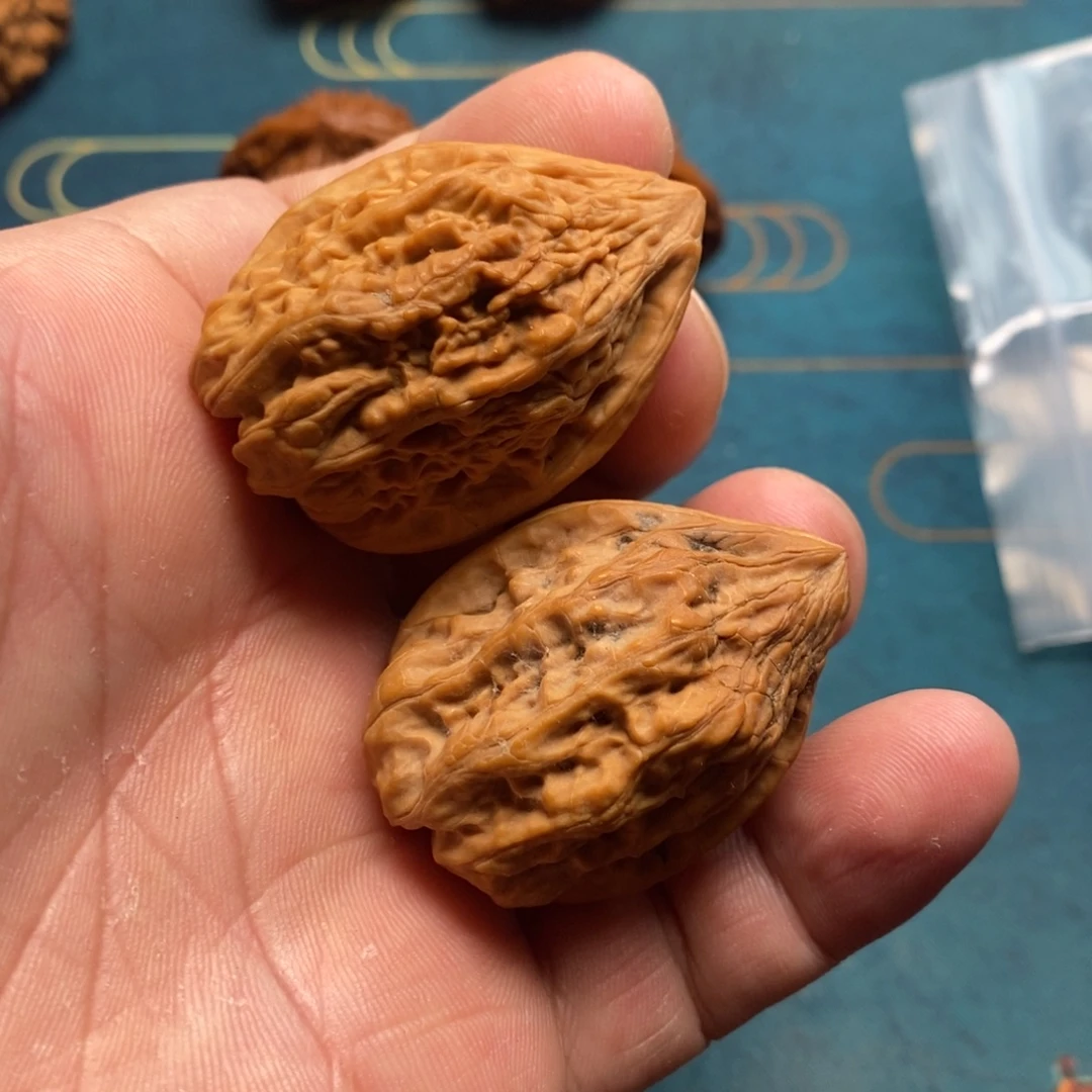 龙脊菩提把件31尺鸡心