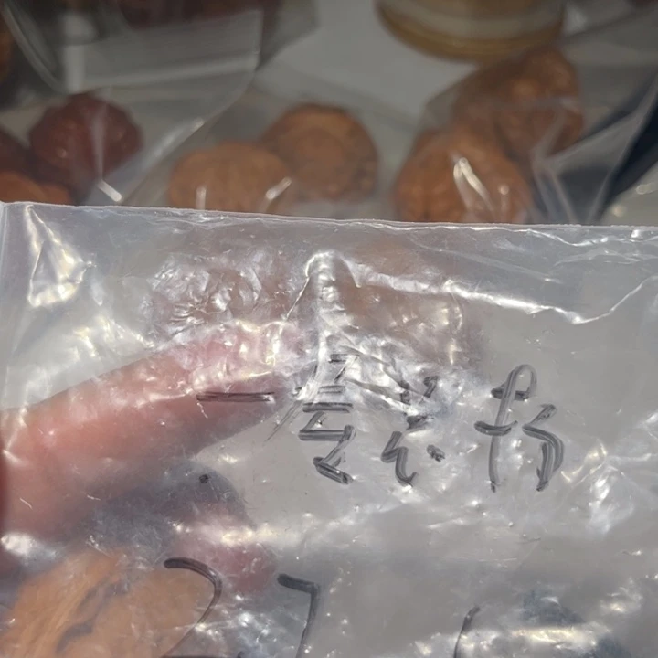一***杨文玩核桃吊坠狮子头核桃