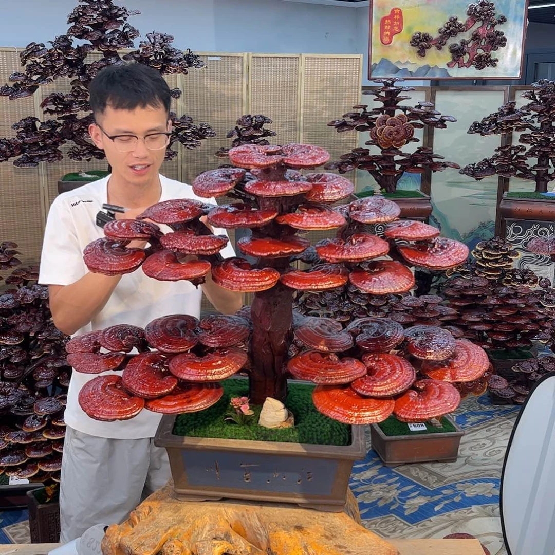 无花朵88888888888888888