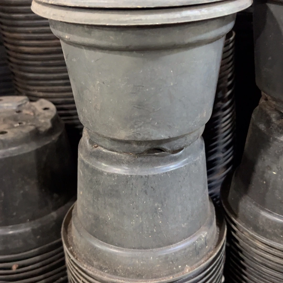 黑圆盆15口径11高 10个