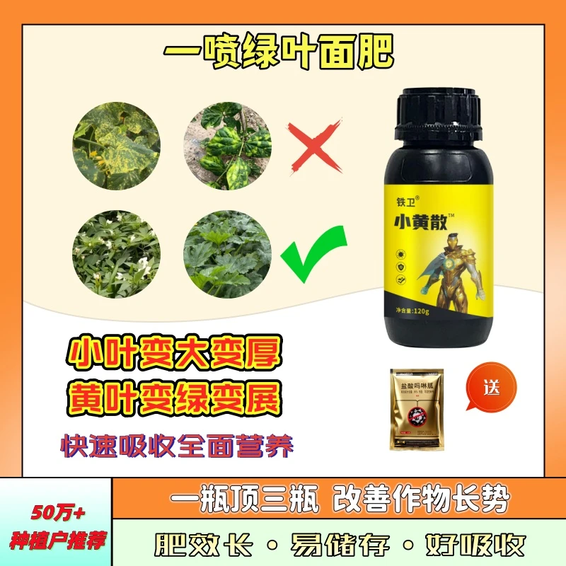 辣椒小黄散黄叶转绿 防小叶黄叶 皱叶变展 提高叶绿素含量