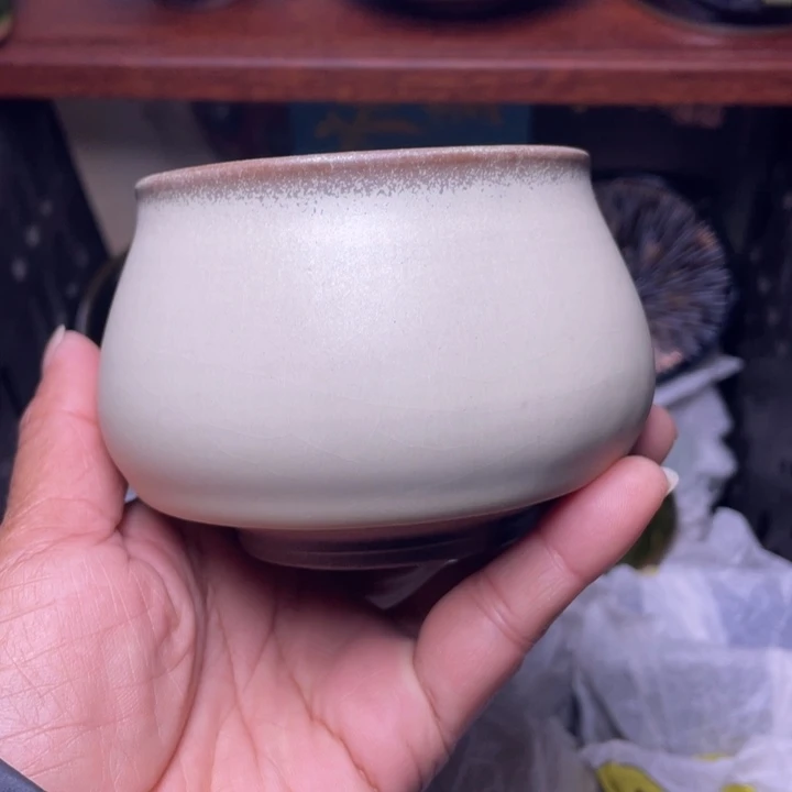 茶盏你说什么呢你不知道