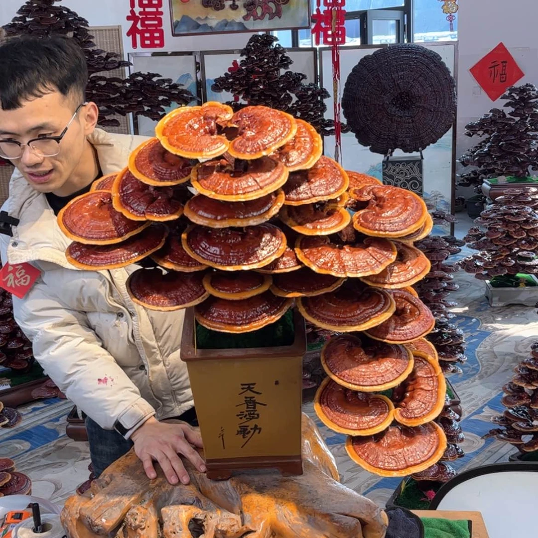 【闪购商品】88888