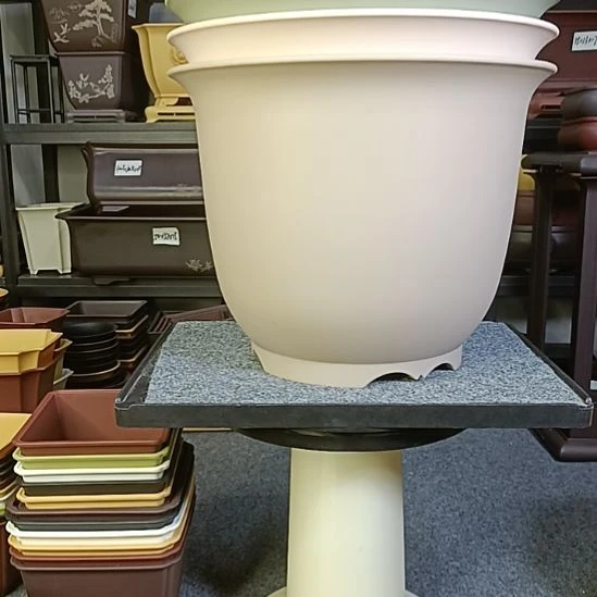 5只35cm大号金钟圆盆