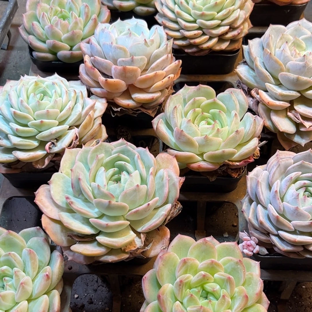 210点点滴滴的断断续续