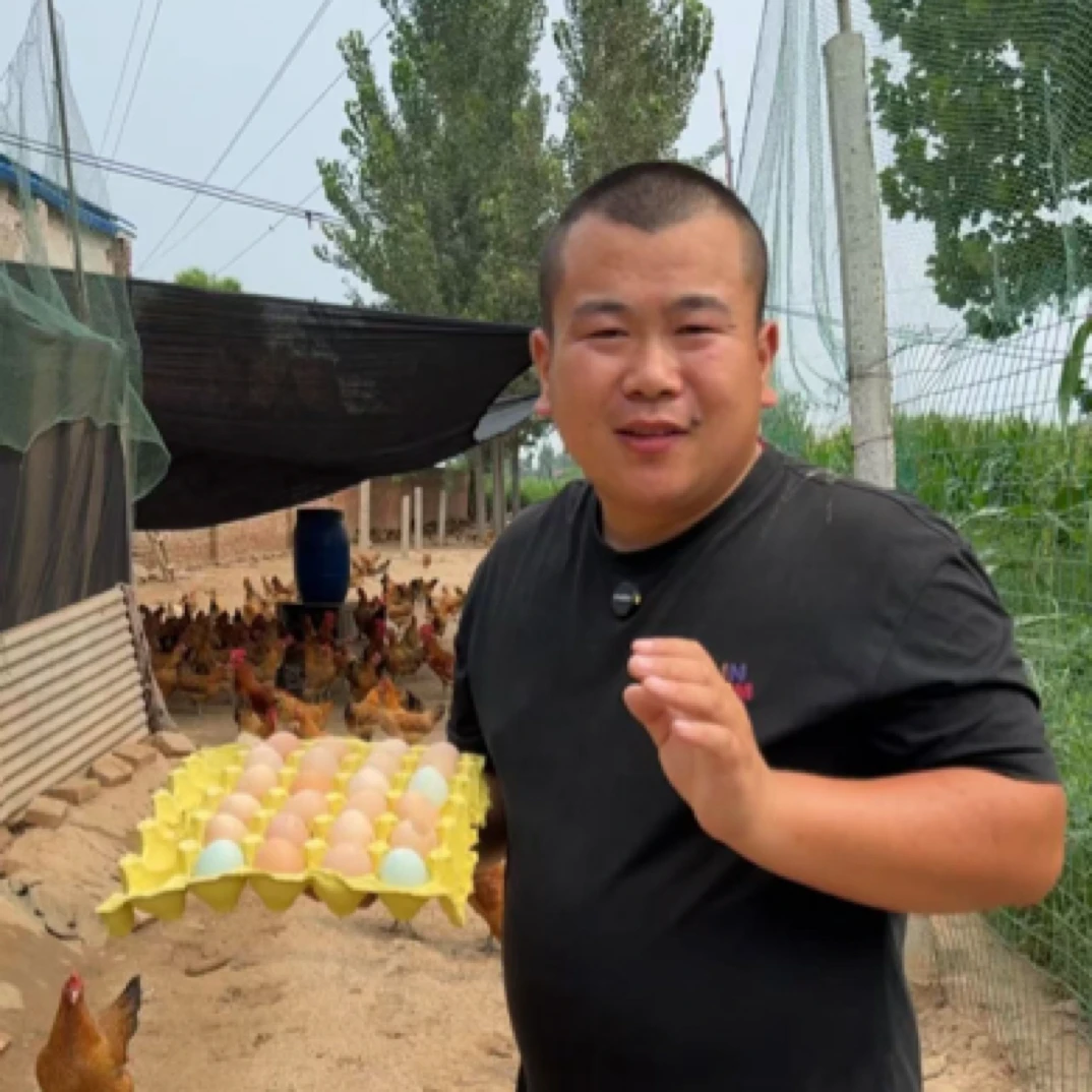 自家鸡场散养散放土鸡蛋柴鸡蛋谷物笨鸡蛋现捡现发五谷杂粮喂养