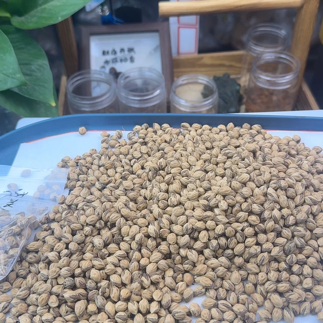 吊坠柏香籽/百香籽849号6.25+285克YF012