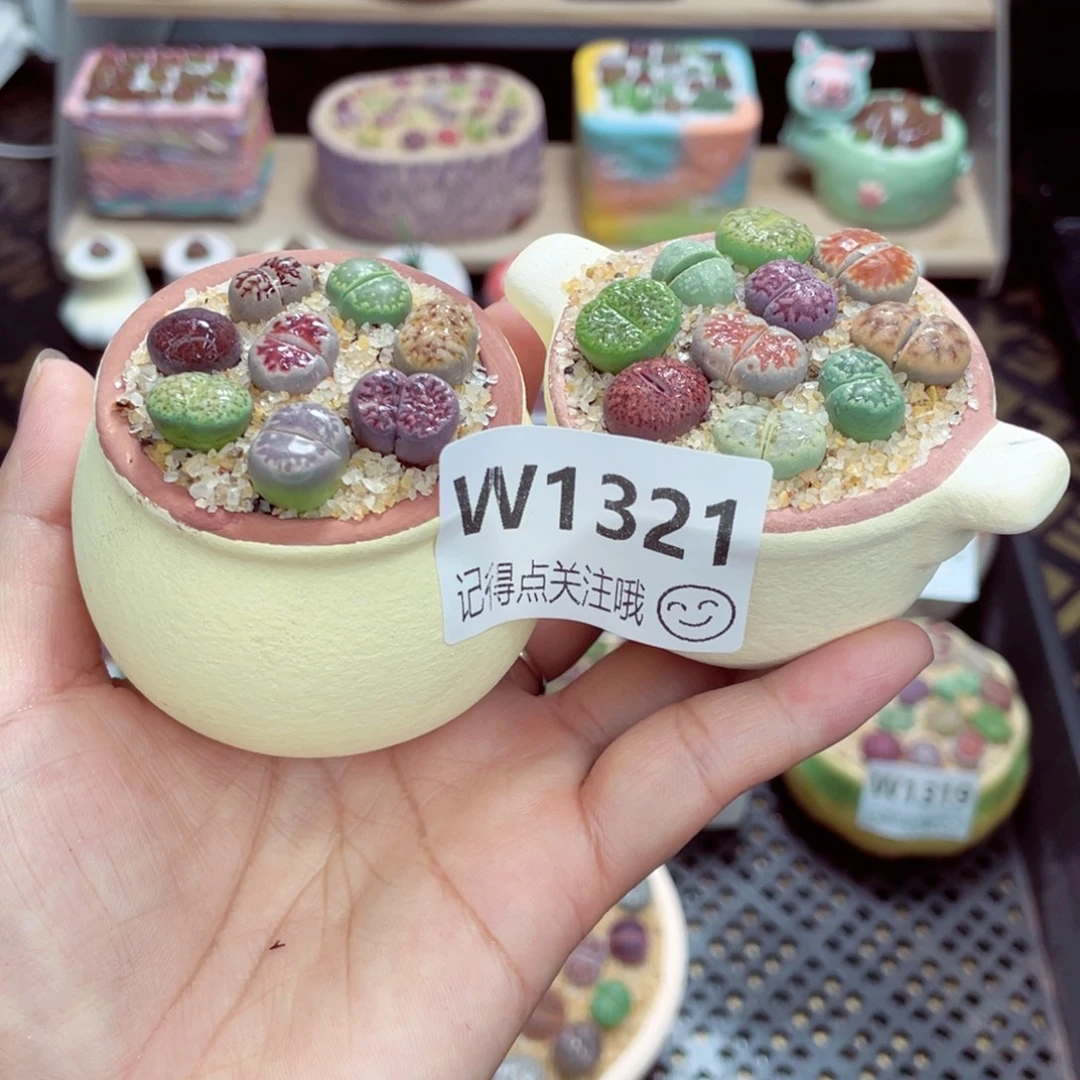 w1321 带盆土发货一物一拍