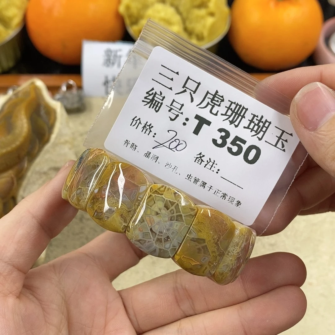 硅化珊瑚（珊瑚玉）1未镶嵌诗****沈