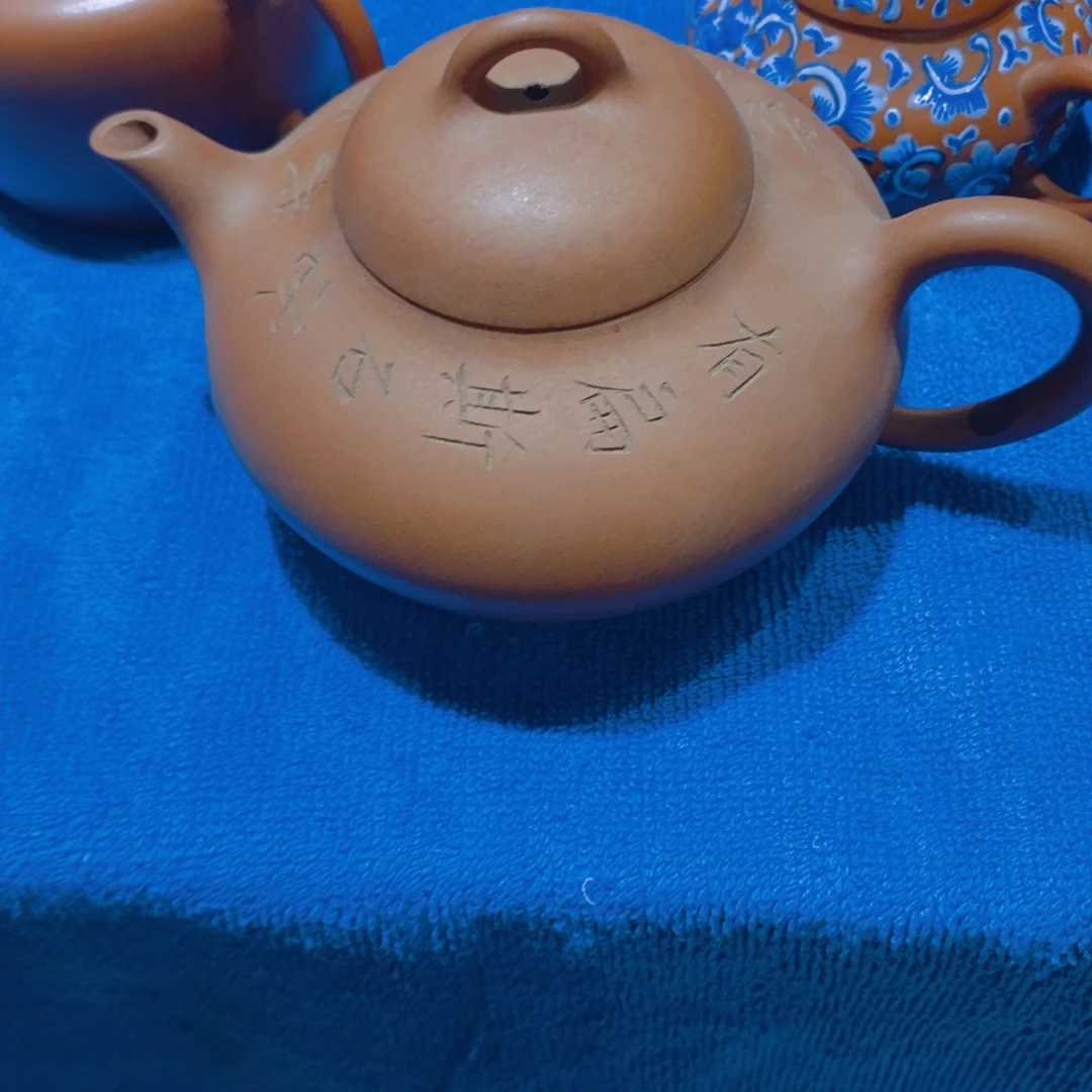 蟹***钱茶壶紫砂888888888888888