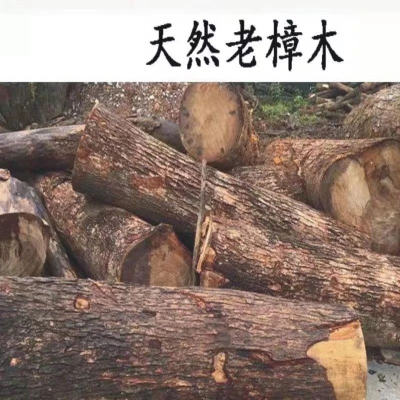 广西野生纯天然香樟木块原木衣柜除味留