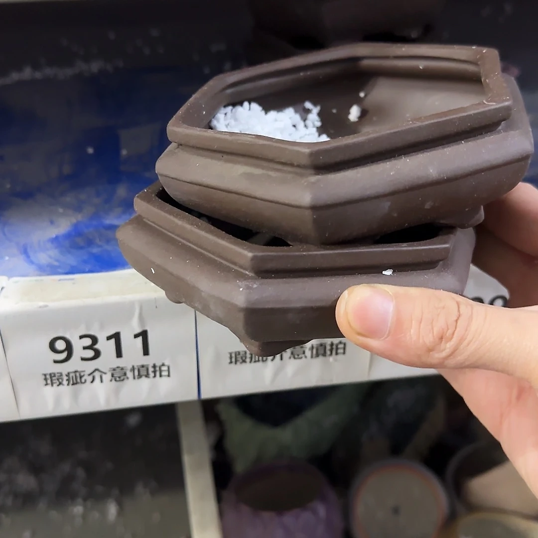 2个福利局［凑9元包邮24小时发］9309