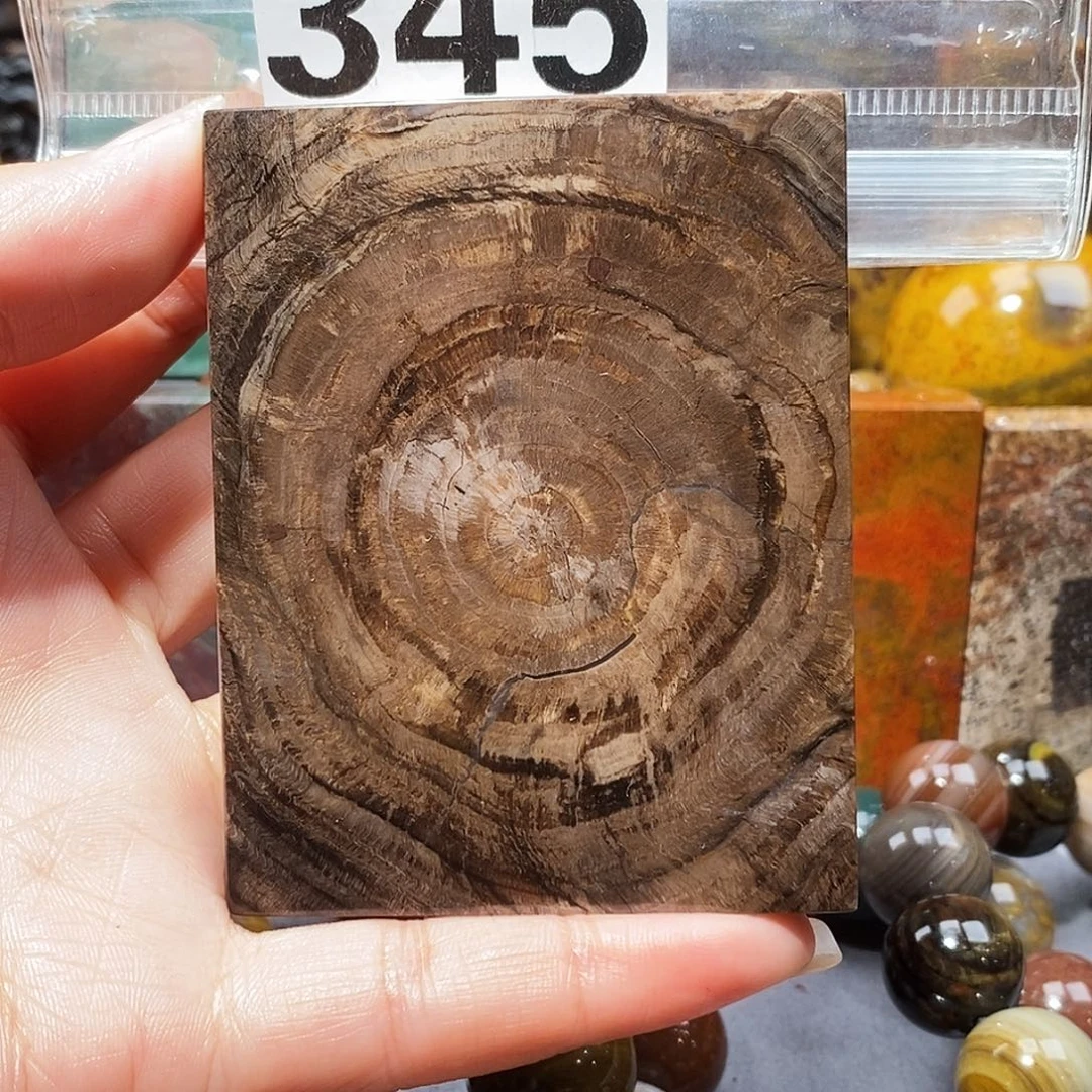 硅化玉未镶嵌天然北票硅化玉吊坠