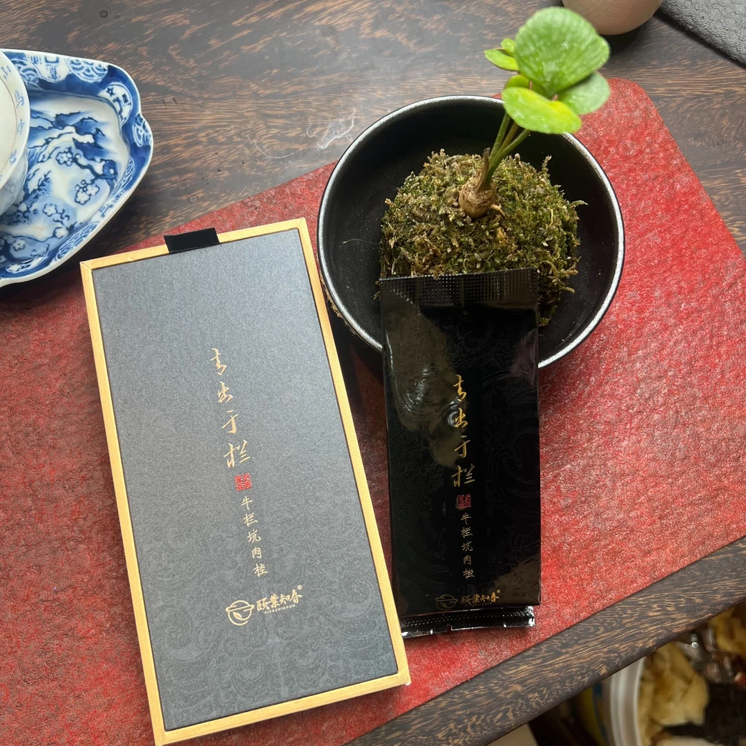 【青出于栏】武夷岩茶PK牛栏坑肉桂，桂味足，回甘生津--颐業知春茶叶