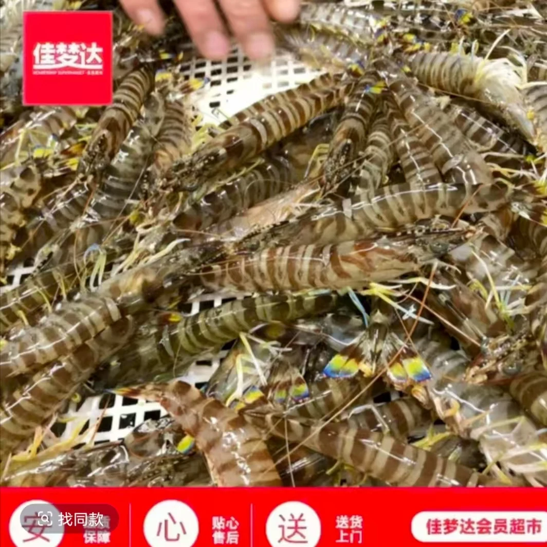 基围虾（大）保鲜不包活运输过程可能出现断氧介意慎拍