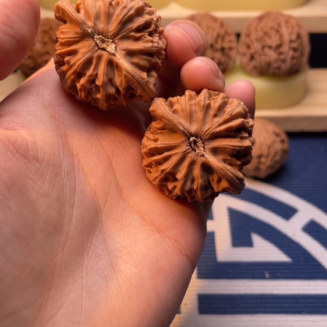 文玩核桃宫灯41矮壮