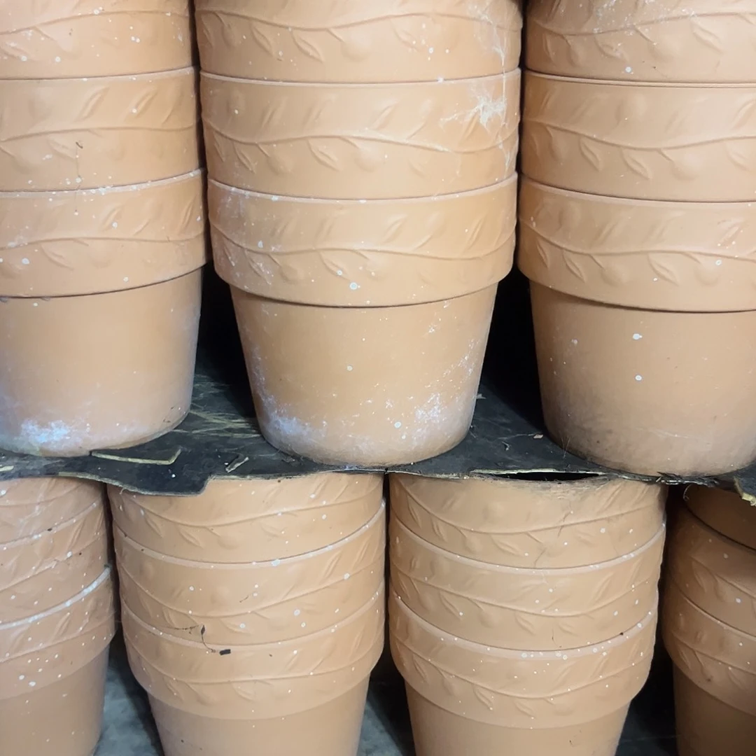 泡水橄榄16口14高1个【泡水瑕疵无售后】