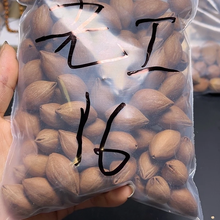 老***工手串/手链橄榄核111