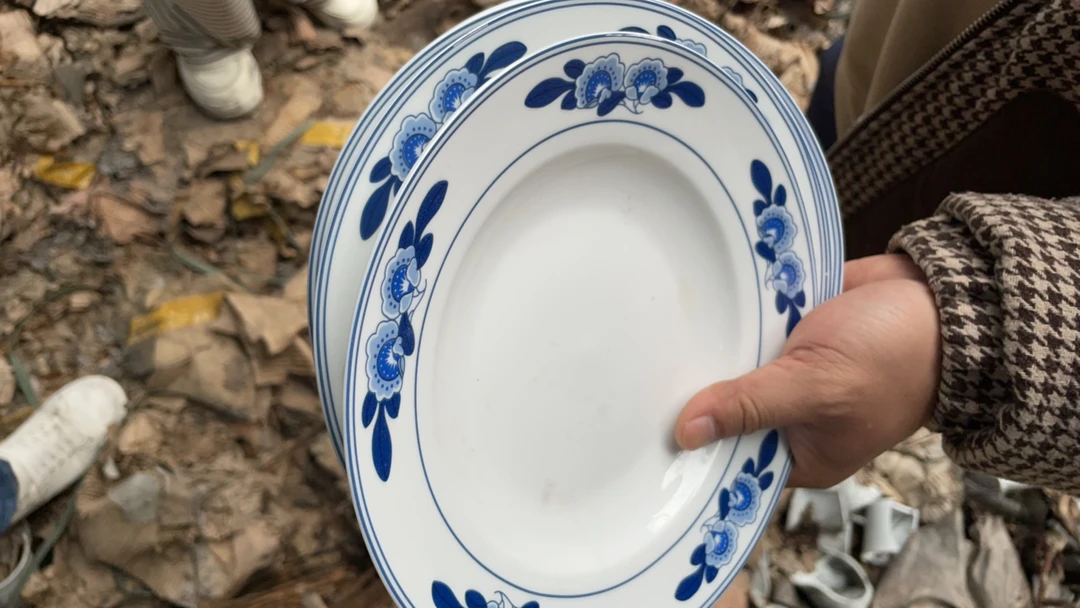 景德镇高温陶瓷餐具青花8寸草帽盘4只