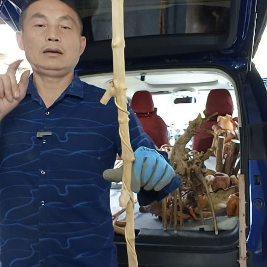 知***予稳定木高山 檬子木文玩料