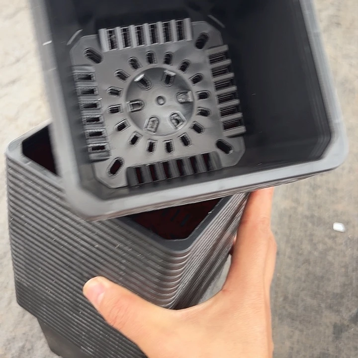 120黑方盆11公分12个