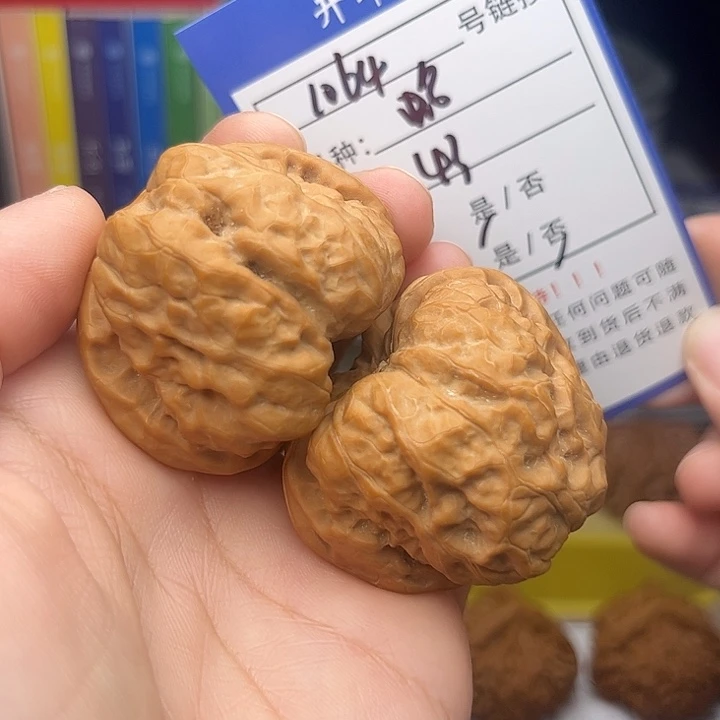 文玩核桃手捻核桃1064