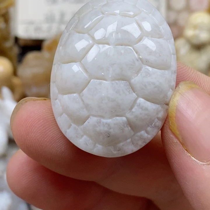 颈饰未镶嵌硅化珊瑚（珊瑚玉）