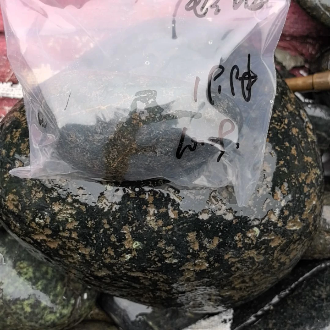 玲***姐藏玉药王石原石一个