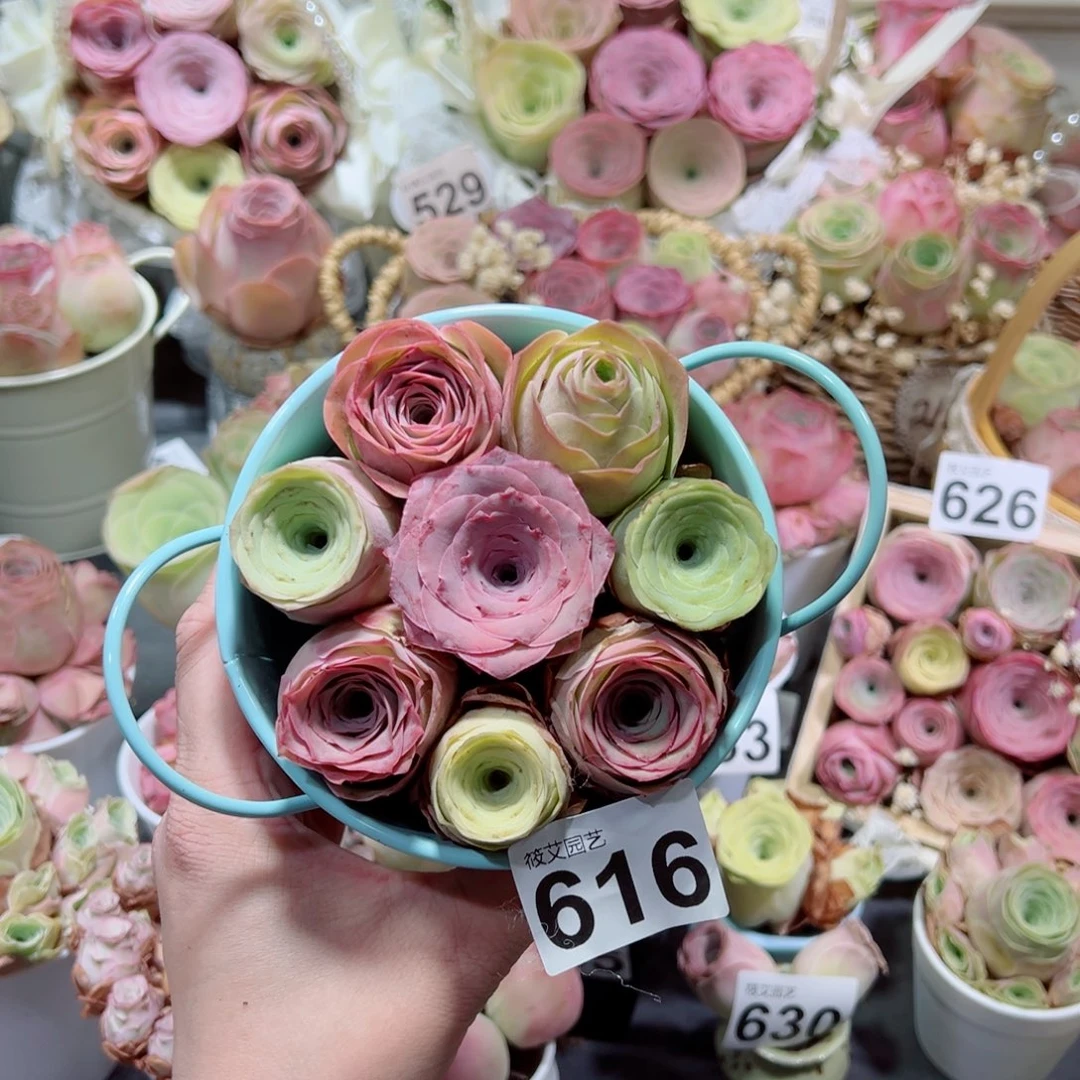 616小精品双耳铁皮桶花桶。  一物一拍