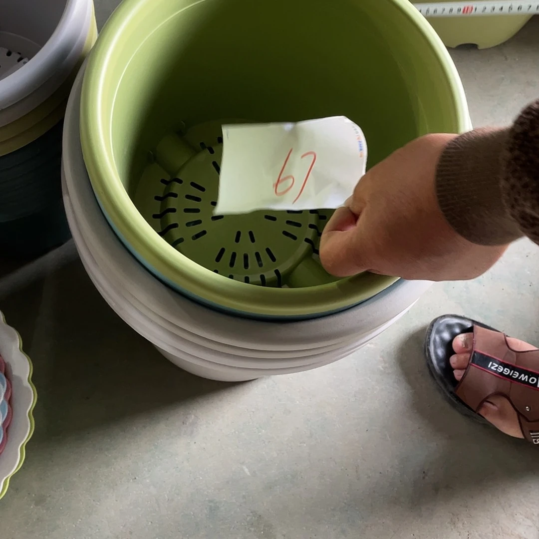 编号67编号67编号67