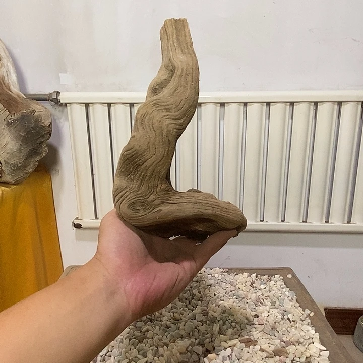 1***卡柏木（崖柏）崖柏根雕天然艺术