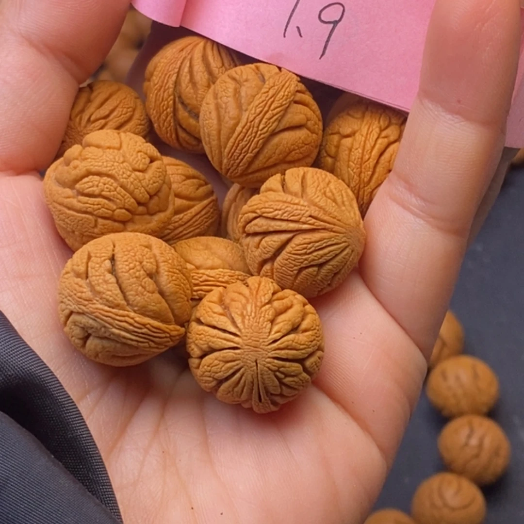 秦岭龙纹桃核14颗