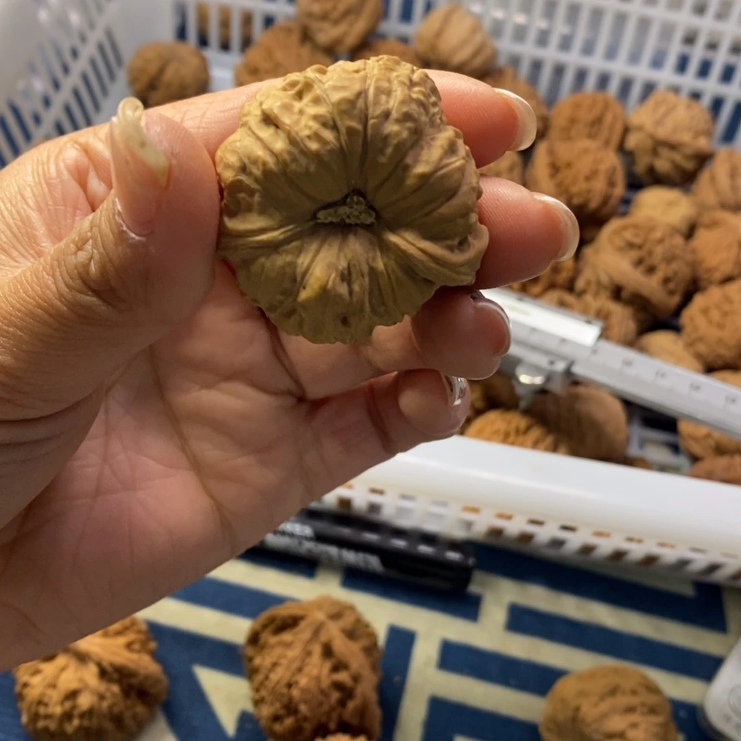 菲***忆吊坠文玩核桃南瓜